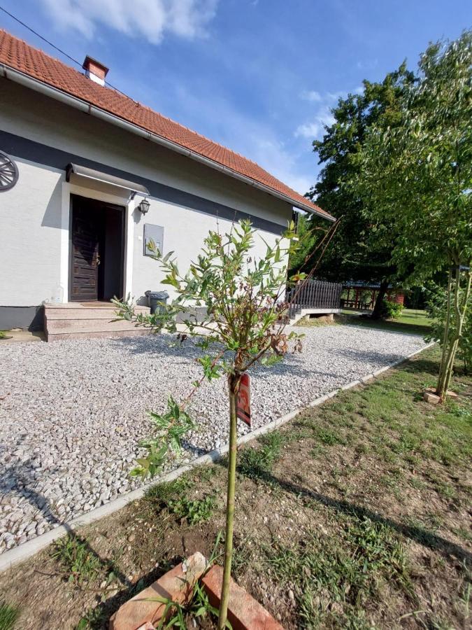 House Kupa Mb Villa Petrinja Exterior photo