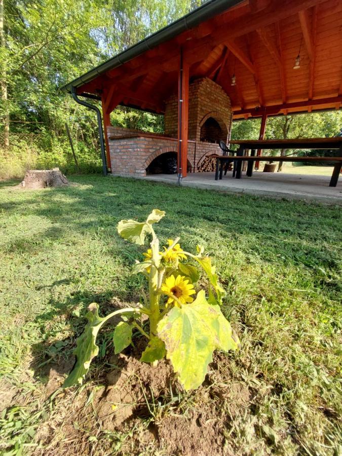 House Kupa Mb Villa Petrinja Exterior photo