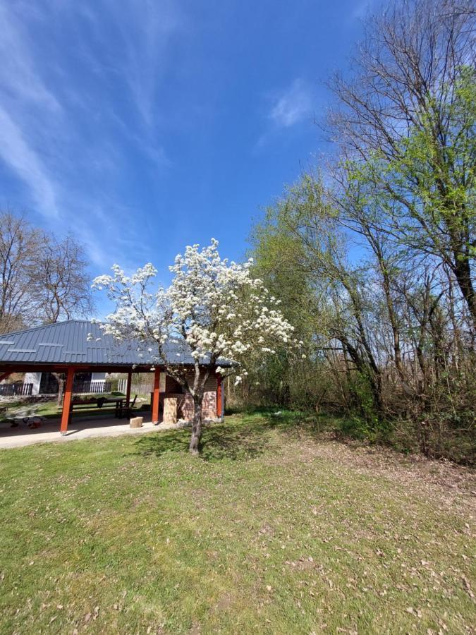 House Kupa Mb Villa Petrinja Exterior photo